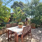 Maena * Novigrad Istria
