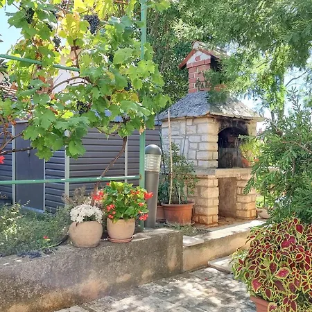 Maena * Novigrad Istria